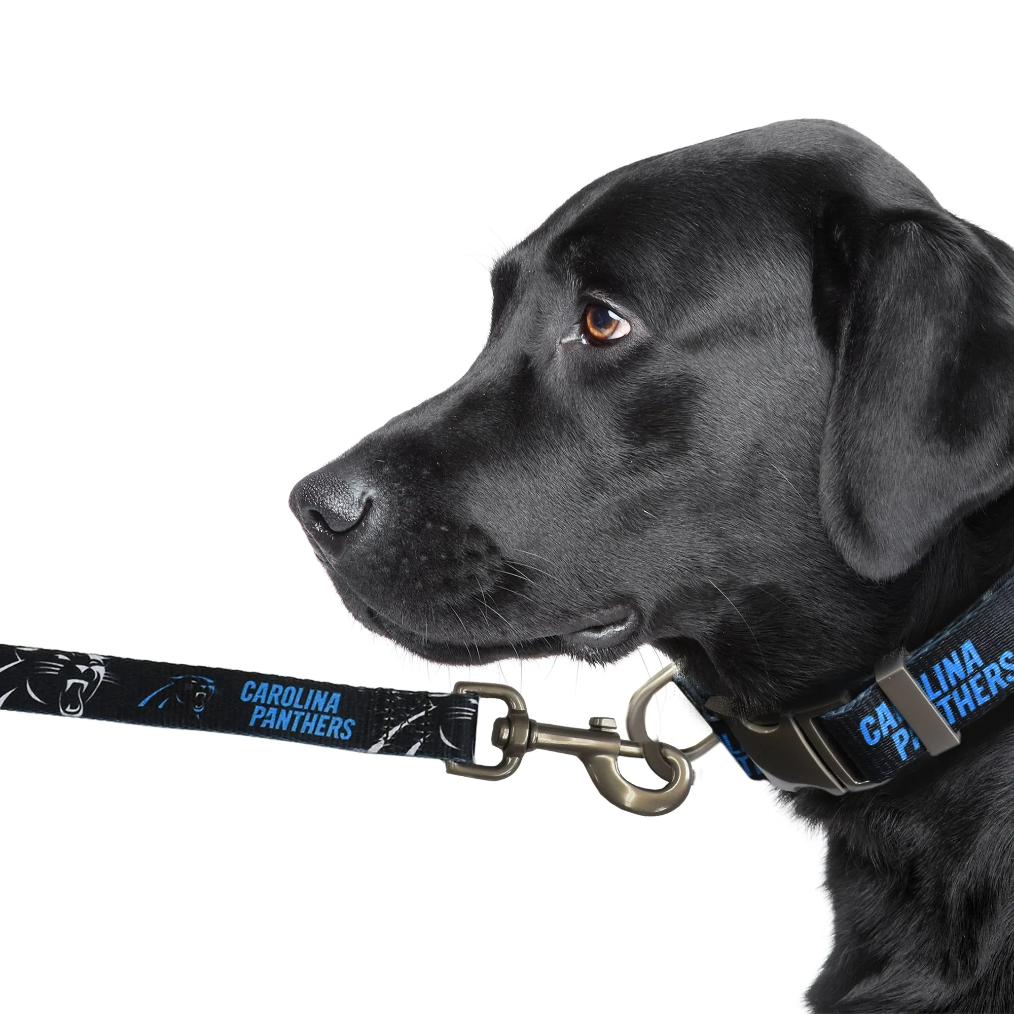 Carolina Panthers Premium Pet Lead